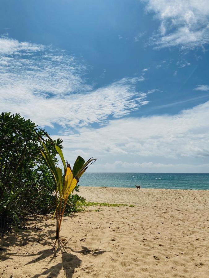 Sanjis The Seaside Cabanas Tangalle Exterior photo