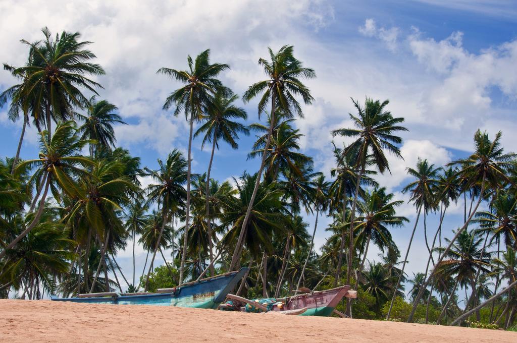 Sanjis The Seaside Cabanas Tangalle Exterior photo